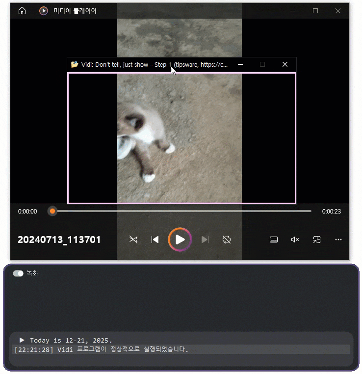  [LxMFC/응용예제] 지정한 영역의 화면을 압축하면서 연속으로 캡처하기