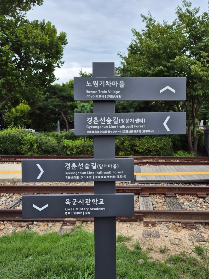 사진 6