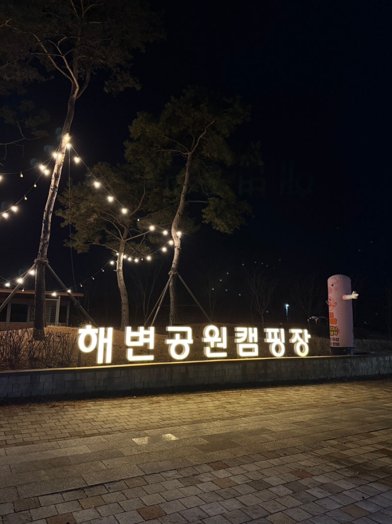 청라 해변공원 캠핑장 애견동반 바베큐존 후기 | 예약 주차 준비물 시설
