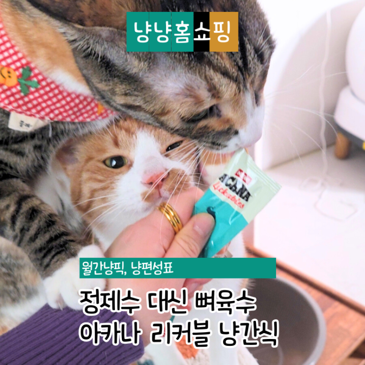  아카나 리커블 고양이간식 후기 정제수 없이 생선뼈 육수, 기호성 차이 났다