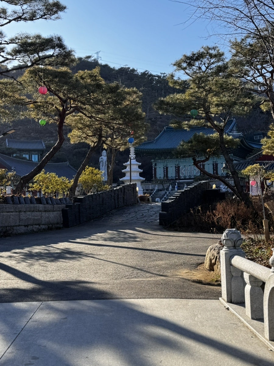 풍류다방 사진 5