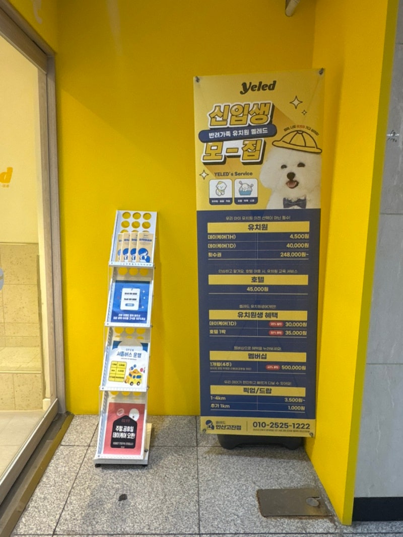 사진 8