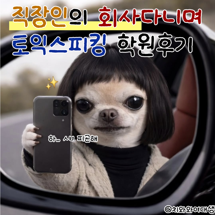  서면 토익스피킹 학원 직장인의 부산토스학원후기 YBM IH