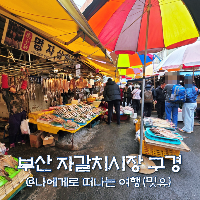  부산 자갈치시장 먹거리 구경, 건어물 꼼장어 생선구이(주차장)