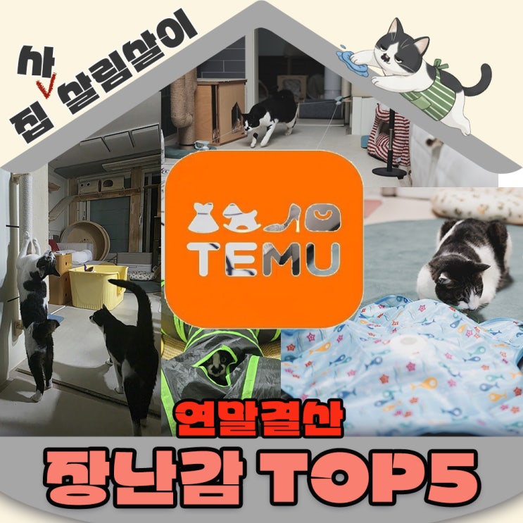  2025연말결산 별책부록 고양이장난감 테무템 - 올해 가장 눈뒤집혔던 순간들