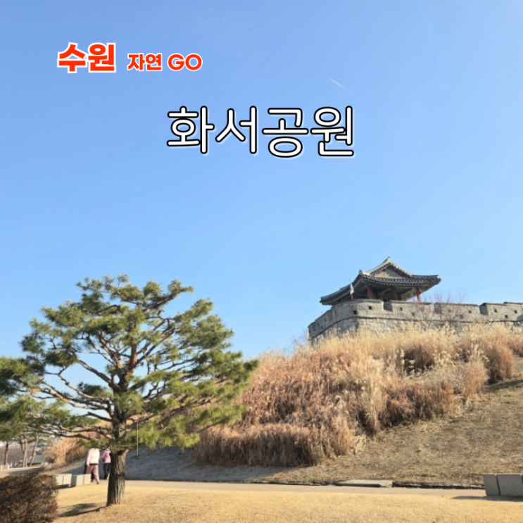 수원 데이트 수원 근교 산책 코스 할만한곳 행궁동 화서공원