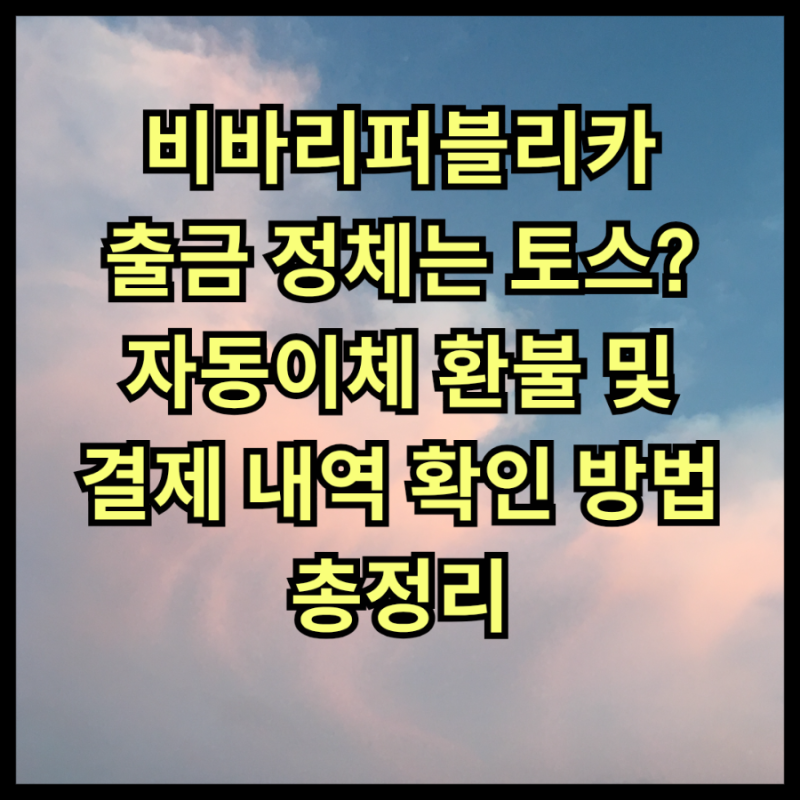 비바리퍼블리카 출금 정체는 토스? 자동이체 환불 및 결제 내역 확인 방법 총정리