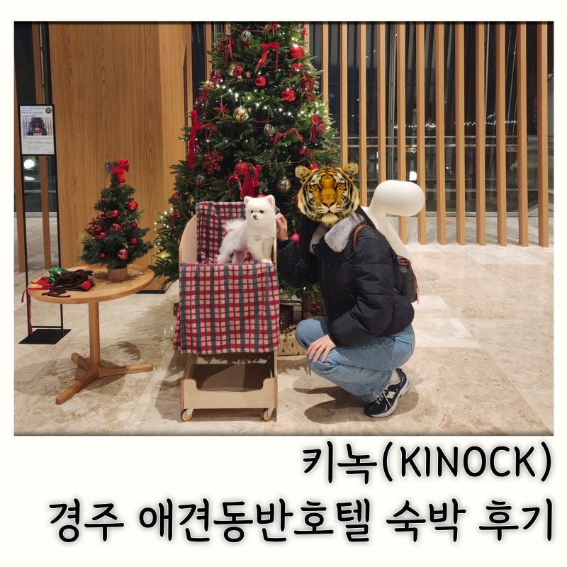 나의강아지에게