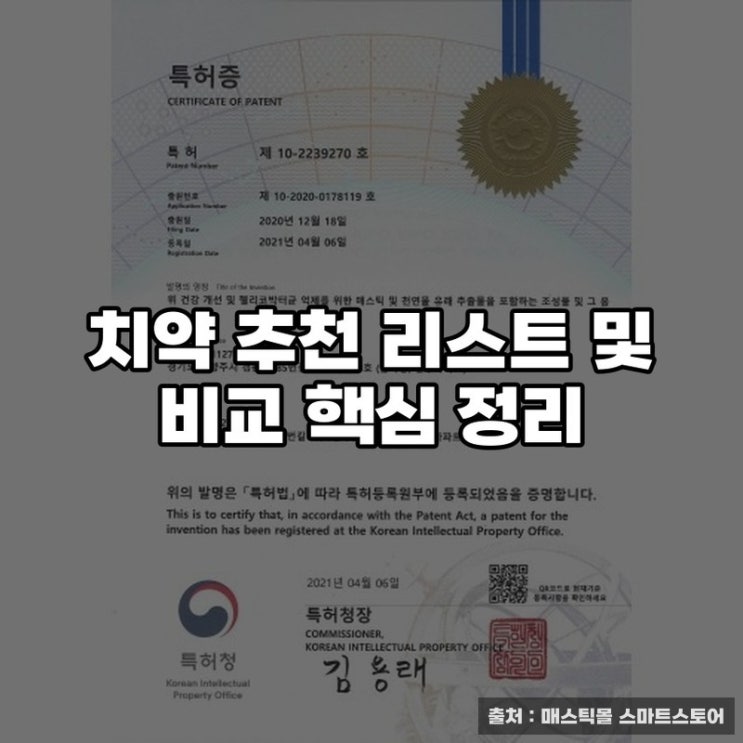  치약 추천 리스트 및 비교 핵심 정리