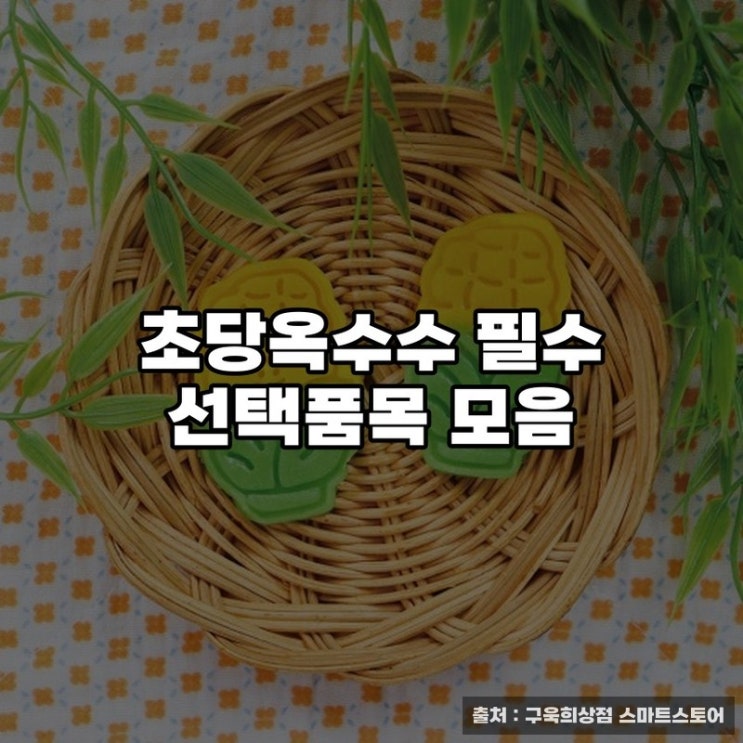  초당옥수수 필수 선택품목 모음