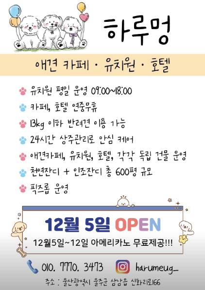 사진 4