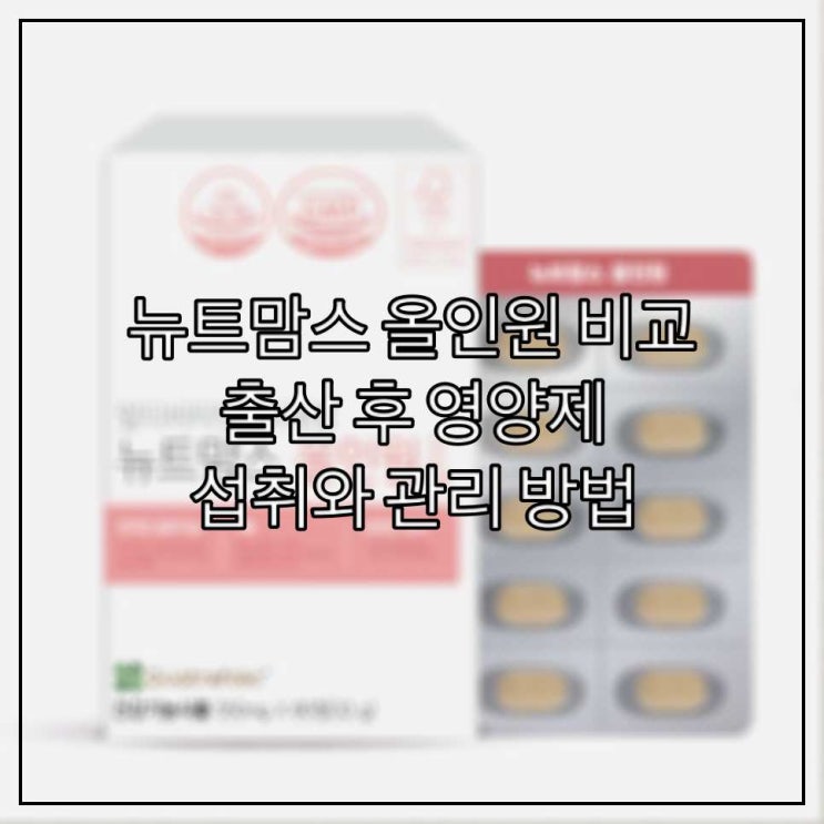  뉴트맘스 올인원 비교｜출산 후 영양제 섭취와 관리 방법