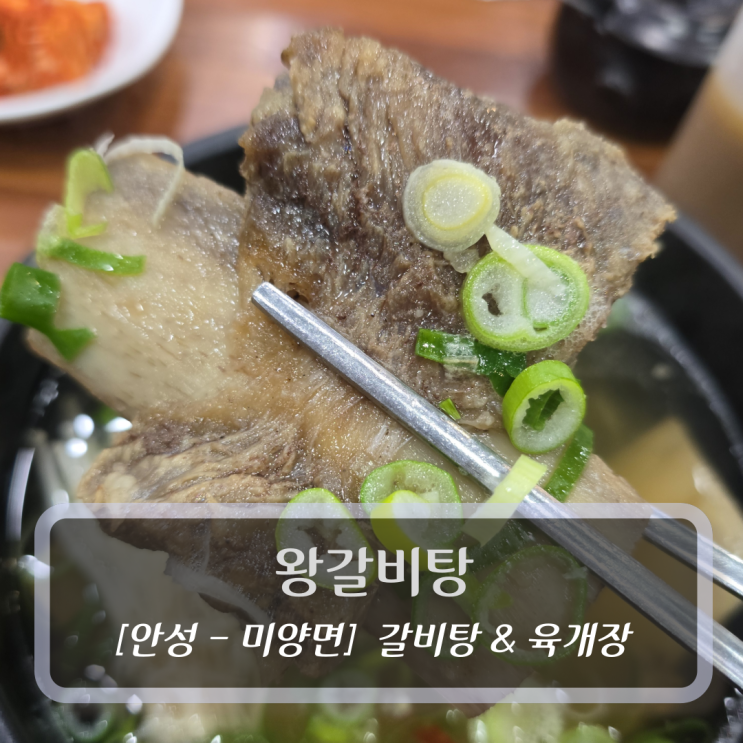  안성갈비탕 맛집 :: 왕갈비탕 - 갈비탕&육개장 후기