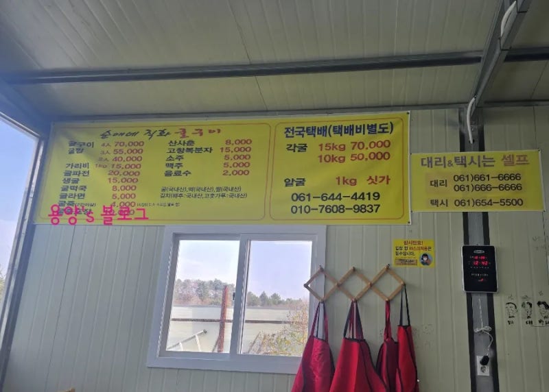 사진 5