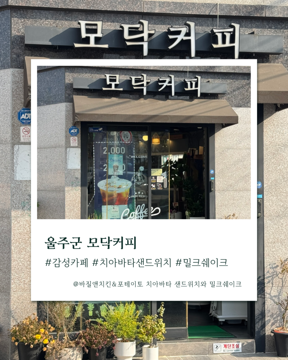 모닥커피 사진 1