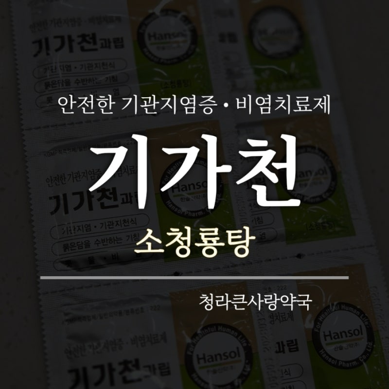 [소청룡탕] 기가천과립 / 비염치료제 / 한방약 / 성분 / 복용방법 / 가격