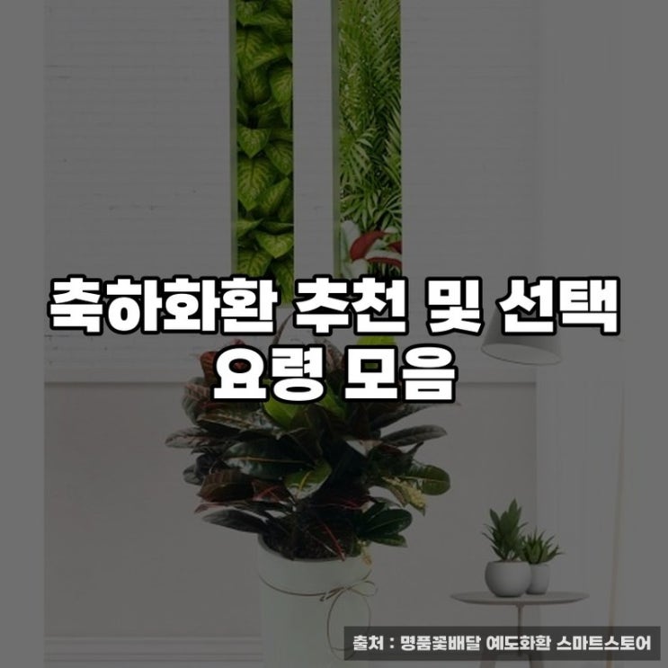  축하화환 추천 및 선택 요령 모음