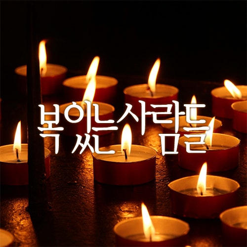 복 있는 사람들 가사 / 김성균 / 서울장로성가단 / 사랑의교회 호산나찬양대