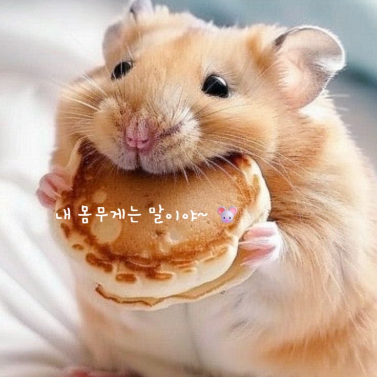  햄스터 몸무게 성체기 정상범위 알아봐요