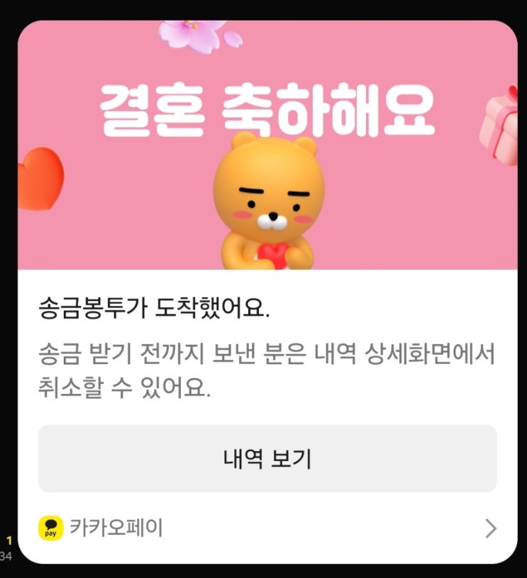  2025. 12. 20 (토) [발리] 조식 & 수영 & 맥주 & 초밥 & 다이빙 정리 & 휴식