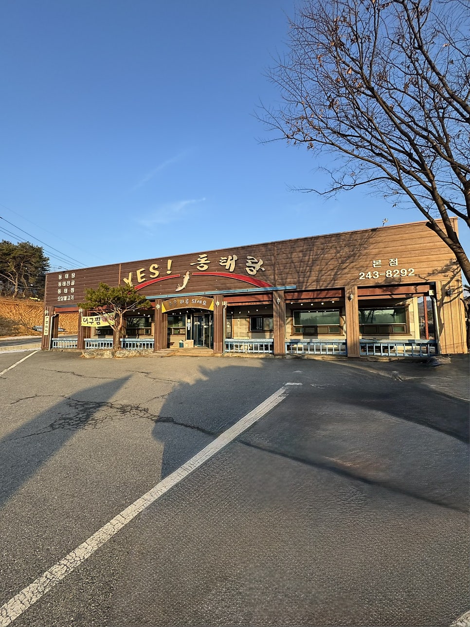 예스동태랑 사진 3