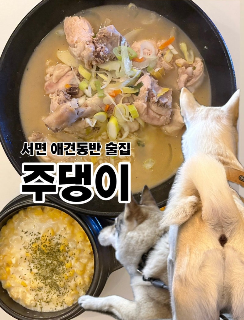 부산 전포 애견동반 술집 추천 상주견이 있는 서면 술집 주댕이