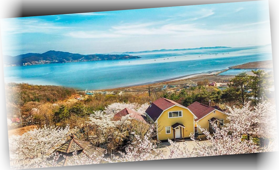 오비도스펜션 사진 5