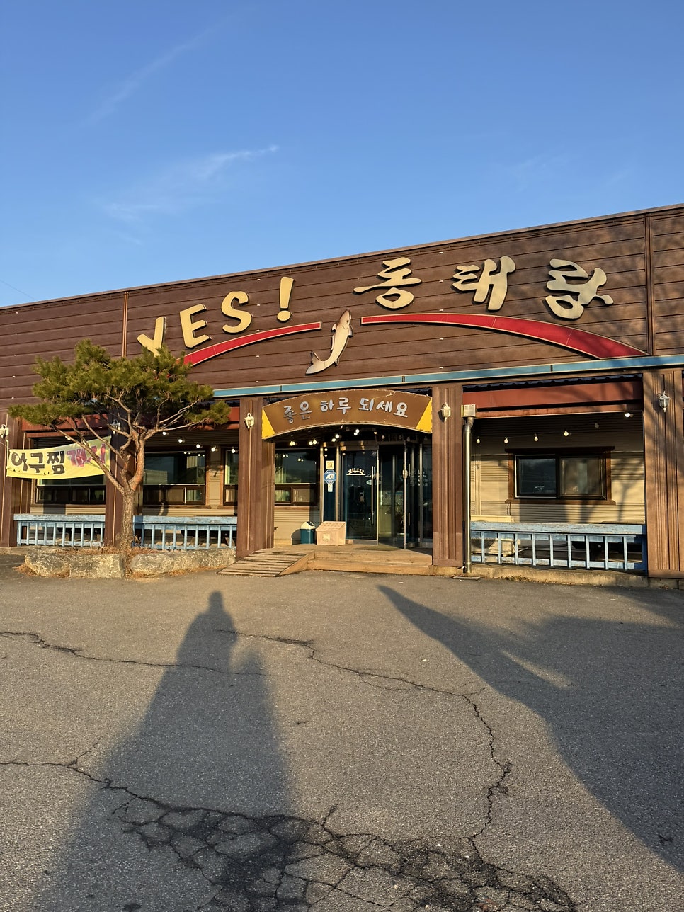 예스동태랑 사진 5
