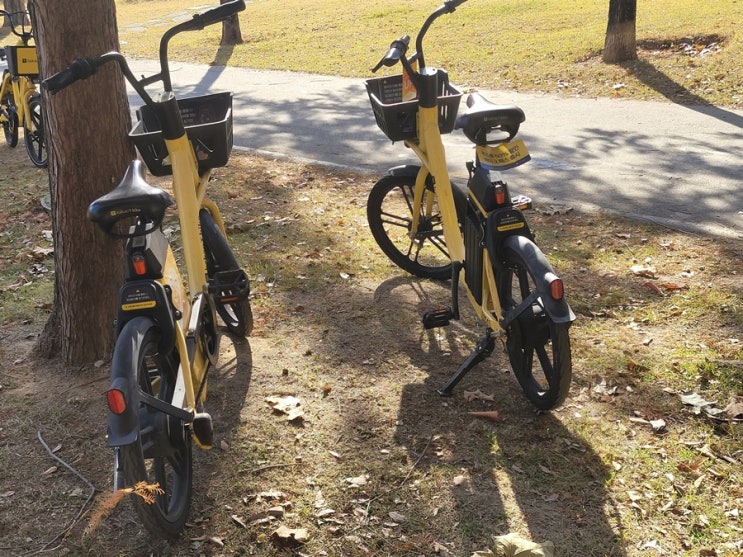  생활 속에서 꼭 알아두면 좋은 법률 용어 정리