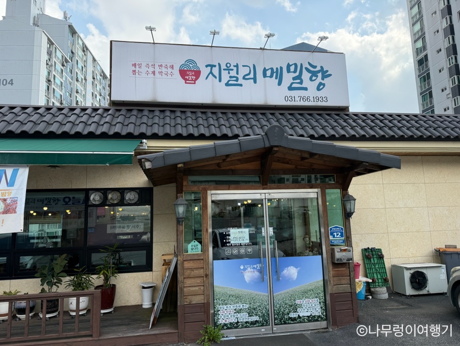 지월리메밀향 사진 1