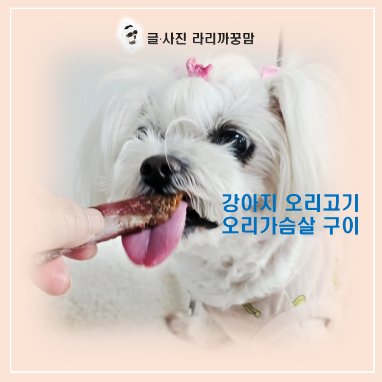  12살 노견 꿍이의 오리고기 보양식! 이가 약한 아이도 잘 먹는 부드러운 오리가슴살 구이!