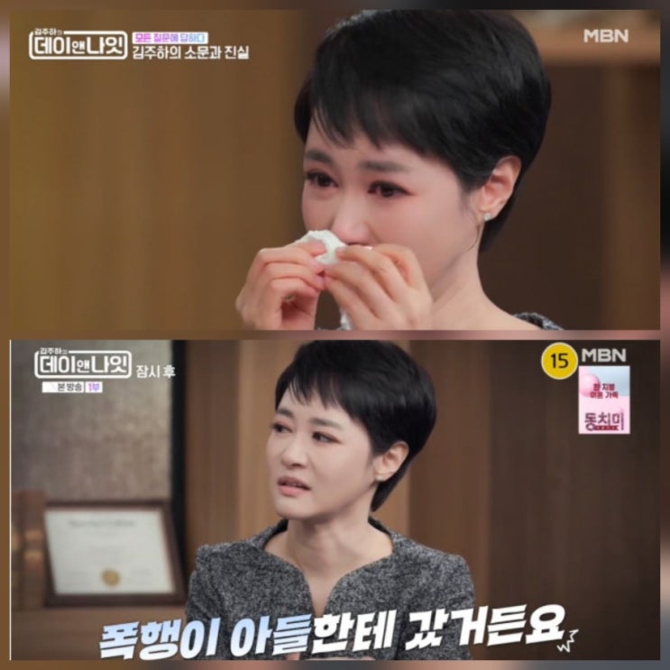 아나운서 김주하 전남편 외도 