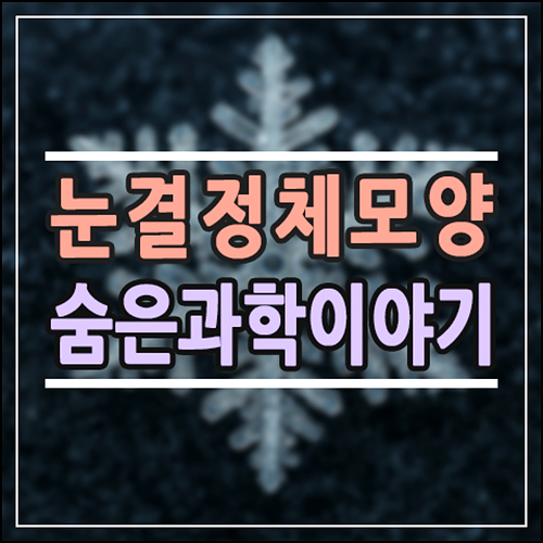  눈 결정체 모양은 왜 모두 다를까? 눈송이에 숨은 과학 이야기