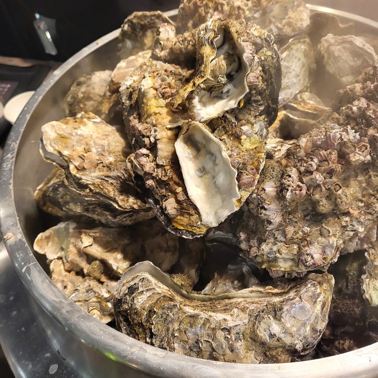  오이도 맛집 내돈내산 조개포차 오이도본점 석화찜 후기