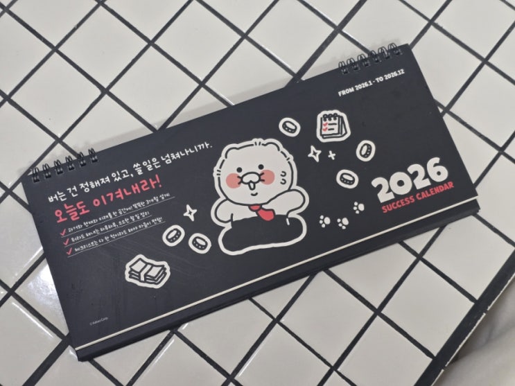  율엘맘 일상 12주차 :)