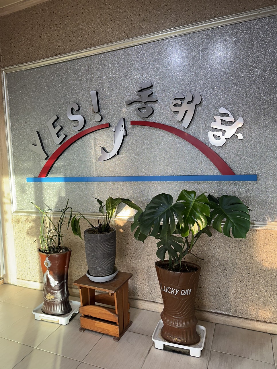 예스동태랑 사진 1