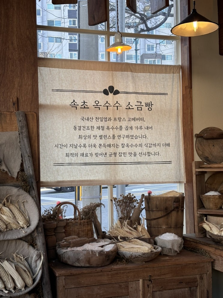  속초중앙시장 옥수수소금빵 가격 위치 내돈내산 솔직후기