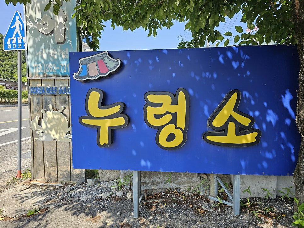 누렁소불고기 사진 3