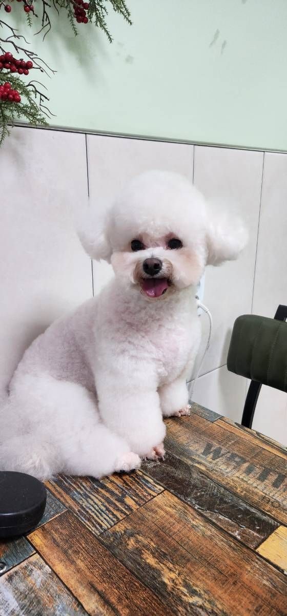 사진 5