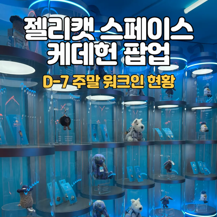 성수동 케데헌 & 젤리캣 팝업_ D-7 뒷북 방문기 :: 주말 워크인 현황(현장대기)