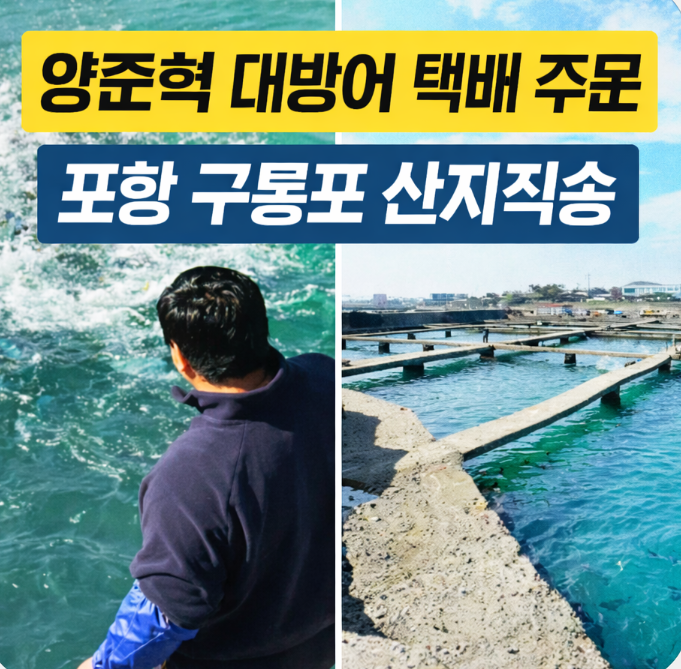 사장님 귀는 당나귀 귀 화제!양준혁 대방어 양식장 택배 주문 방법 + 포항 구룡포 산지직송 ....