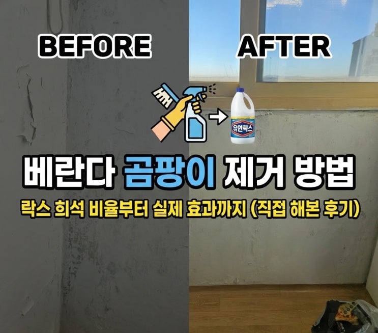 베란다 곰팡이 제거 방법, 락스 희석 비율부터 키친타월 꿀팁까지 (직접 해본 후기)