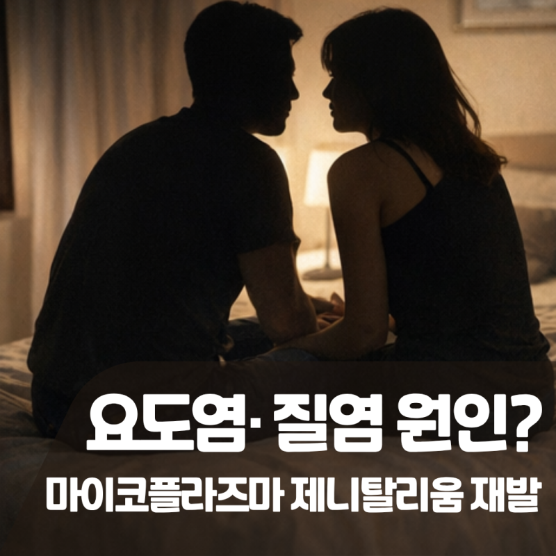 마이코플라즈마 제니탈리움 질염 성병, 증상 원인, 남자 재발 예방법