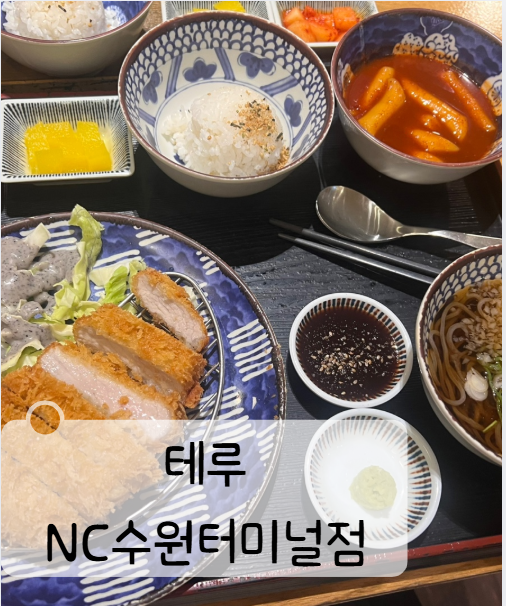  수원 NC백화점 음식점 추천 - 테루 NC수원터미널점