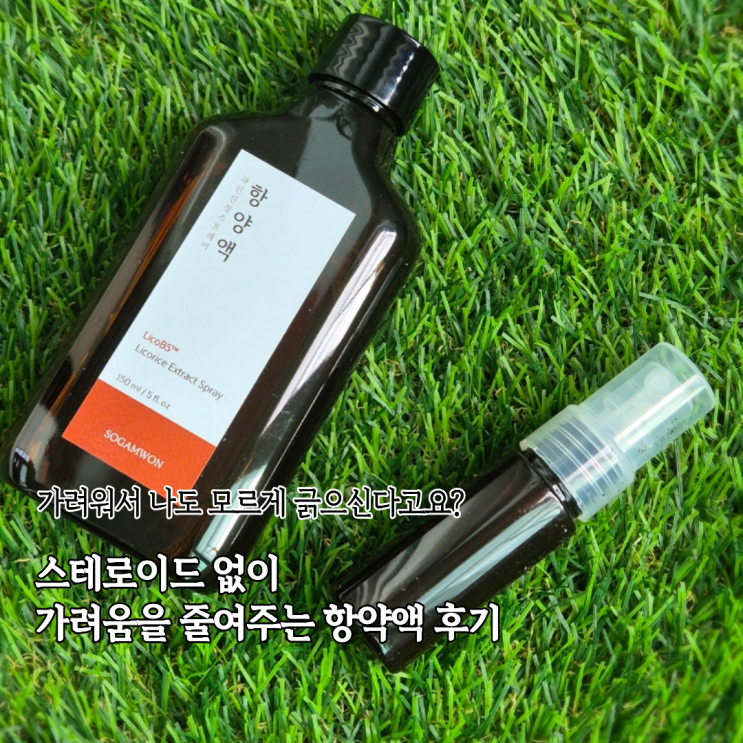  몸이가려운증상 생겼을때 바르는 순한 항양액 스프레이 후기 가려움 진정액