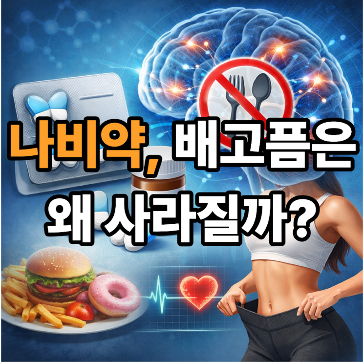  나비약이란 무엇인가? 식욕억제 작용 원리 쉽게 풀기