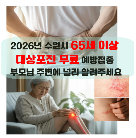 2026년 수원시 65세 이상 대상포진 무료 예방접종 부모님 주변에 널리 알려주세요