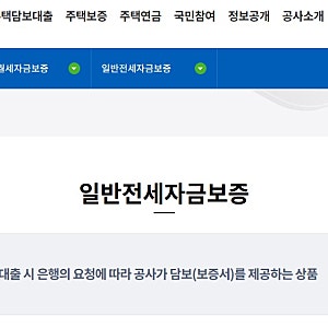 HF한국주택금융공사 전세대출(일반전세자금보증) (plus. HF전세ON(with.하나은행))