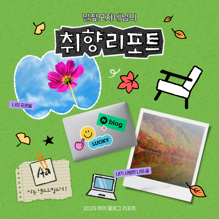  [2025 마이 블로그 리포트] 데이터로 채워보는 내 블로그 취향 리포트