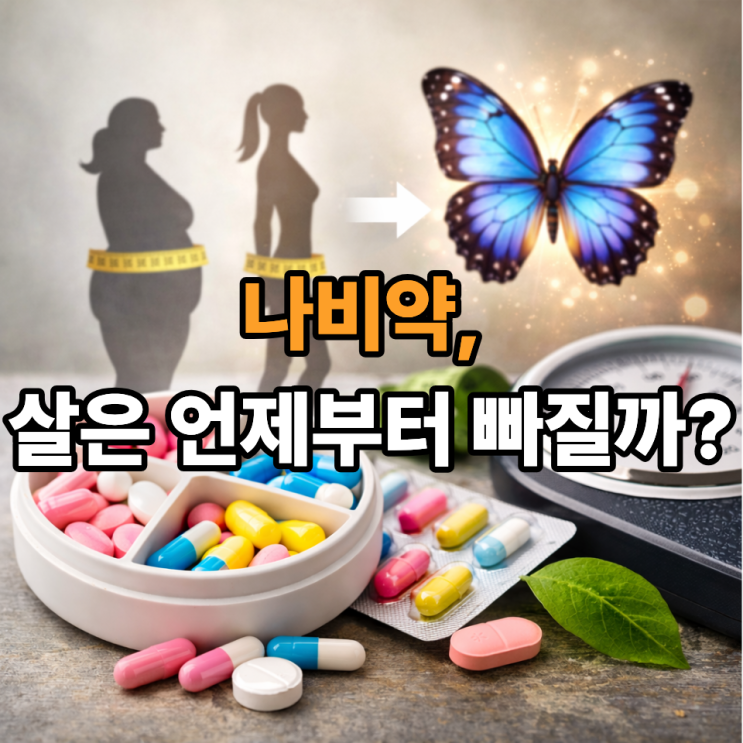  나비약 복용 후 체중 감소, 언제부터 체감될까? 변화 시점 총정리